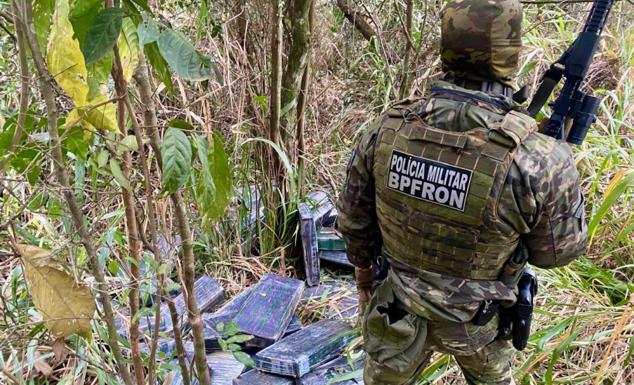 Operação Protetor: polícia apreende 1.350 kg de maconha em Cruzeiro do Oeste e Guaíra
