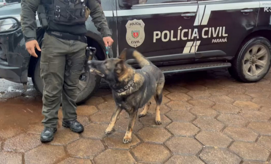 Operação Cidade Segura em Cascavel apreende 1,2 tonelada de droga no primeiro dia