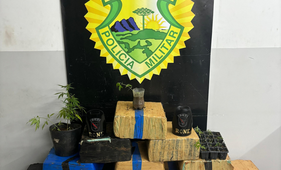 PMPR apreende homem com quase 300 kg de maconha em Curitiba