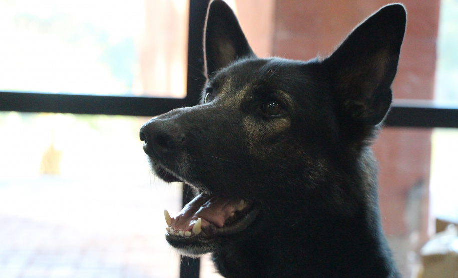 1º Simpósio Nacional de Operações Integradas é realizado pela PMPR em Curitiba