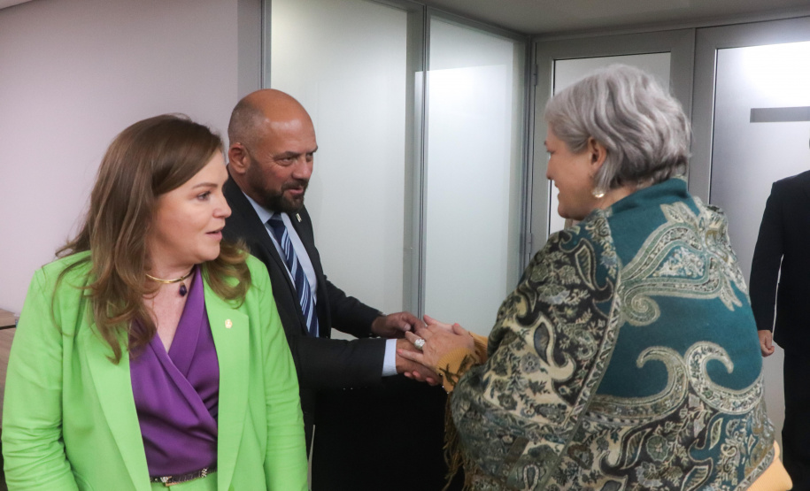 Secretário Hudson recebe secretária nacional de Enfrentamento à Violência Contra Mulheres Denise Motta Dau 