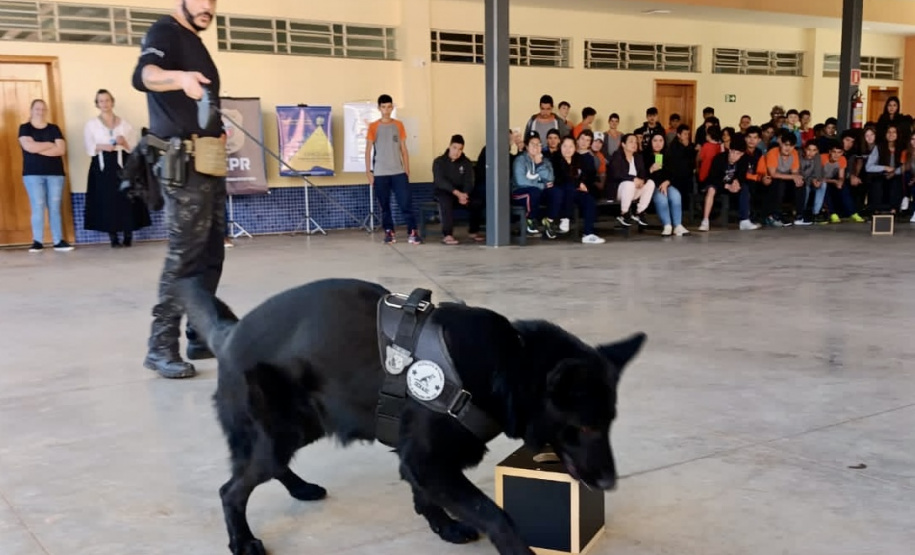 PCPR atende 5 mil pessoas em ações de conscientização sobre o uso de drogas