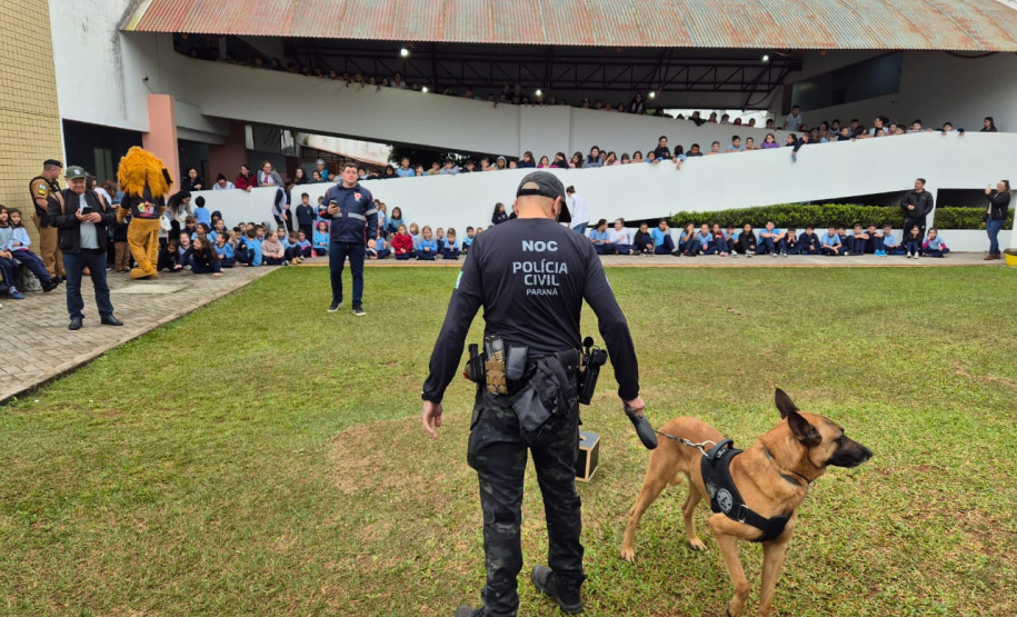 PCPR atende 5 mil pessoas em ações de conscientização sobre o uso de drogas