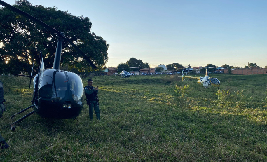 Combate ao tráfico: apreensões de maconha e cocaína crescem no Paraná no 1º semestre