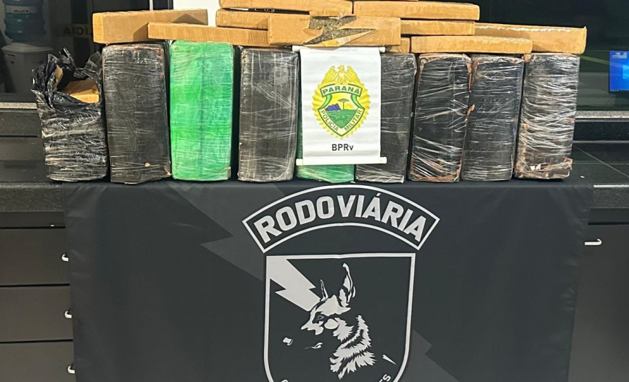 PMPR apreende mais de 200 quilos de maconha em Cruzeiro do Oeste