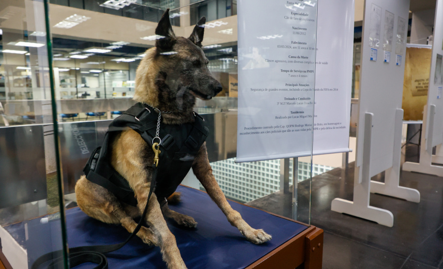 Arquivo Público do Paraná celebra 170 anos da Polícia Militar com exposição