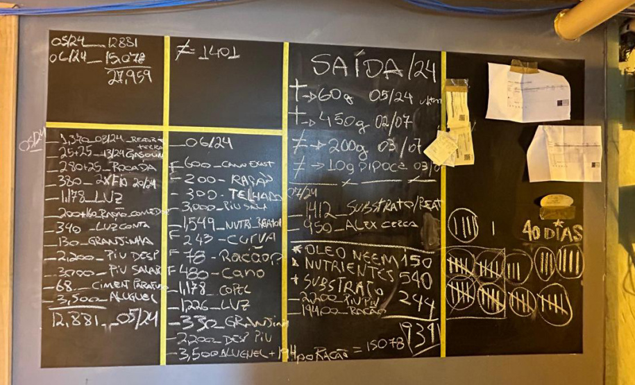 PMPR encontra nova estufa e apreensões passam de mil pés de maconha em Campina Grande do Sul