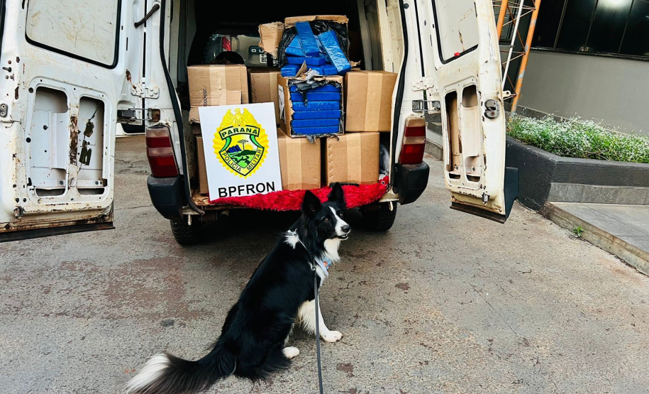 Polícia Militar apreende 488 quilos de maconha em Ouro Verde do Oeste