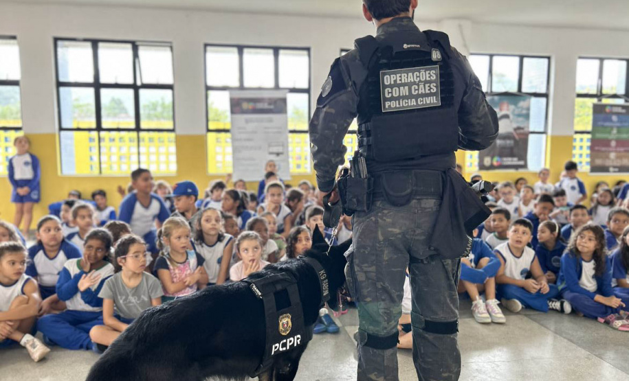 Detecção de drogas, armas e até explosivos: núcleo de cães da PCPR completa 13 anos