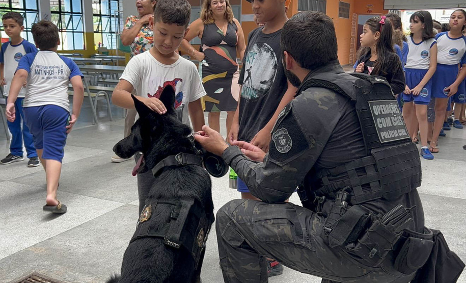 Detecção de drogas, armas e até explosivos: núcleo de cães da PCPR completa 13 anos
