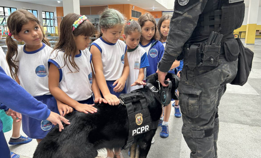 Detecção de drogas, armas e até explosivos: núcleo de cães da PCPR completa 13 anos