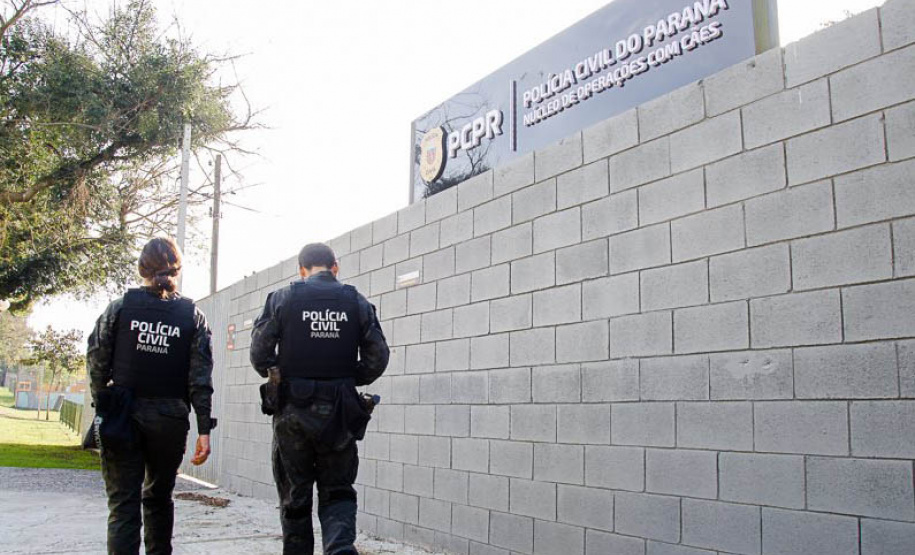 Detecção de drogas, armas e até explosivos: núcleo de cães da PCPR completa 13 anos