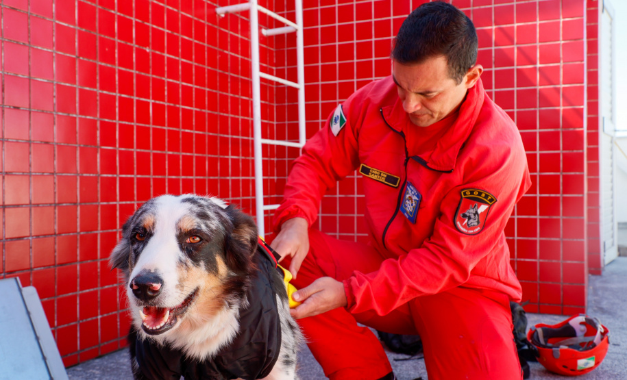 GOST: como atua a equipe dos Bombeiros especializada em grandes desastres