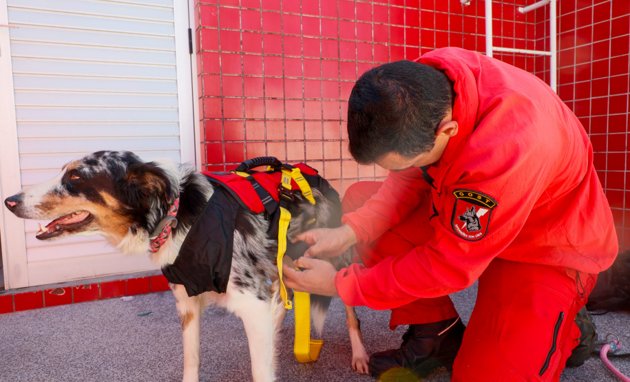 GOST: como atua a equipe dos Bombeiros especializada em grandes desastres