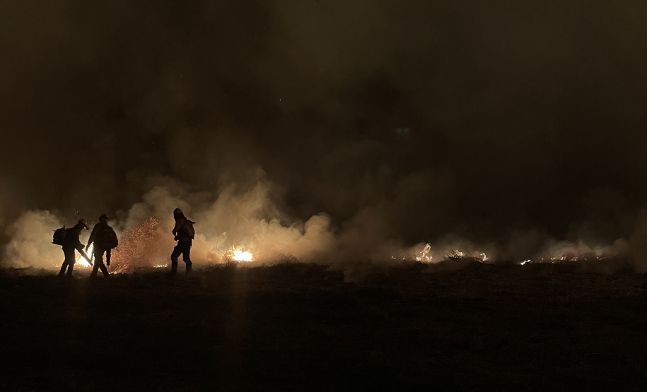 Retorno da segunda equipe de bombeiros militares encerra missão paranaense no Pantanal