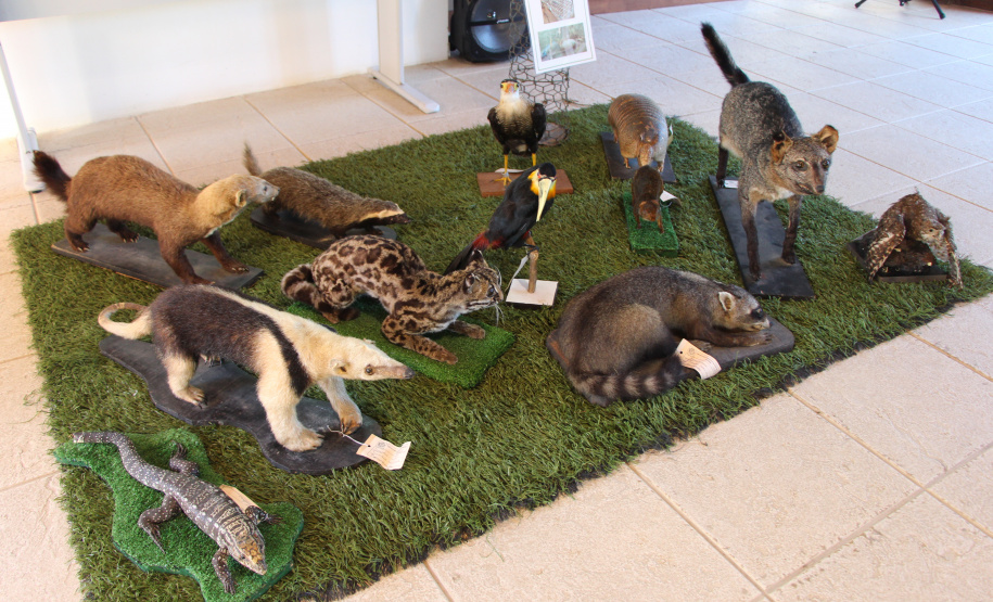 PMPR e SPVS plantam 170 mudas de árvores nativas em celebração ao aniversário da corporação