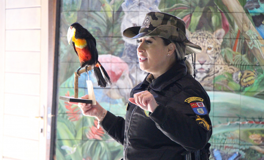 PMPR e SPVS plantam 170 mudas de árvores nativas em celebração ao aniversário da corporação