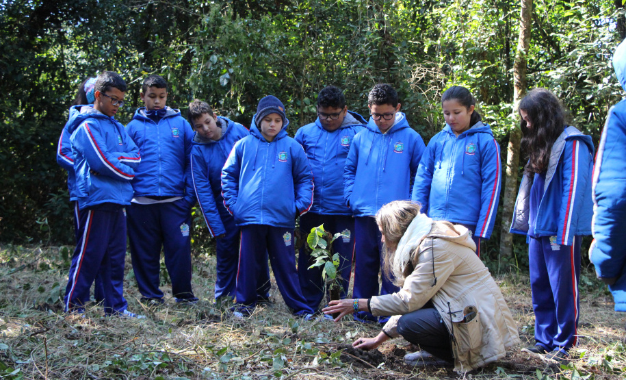 PMPR e SPVS plantam 170 mudas de árvores nativas em celebração ao aniversário da corporação