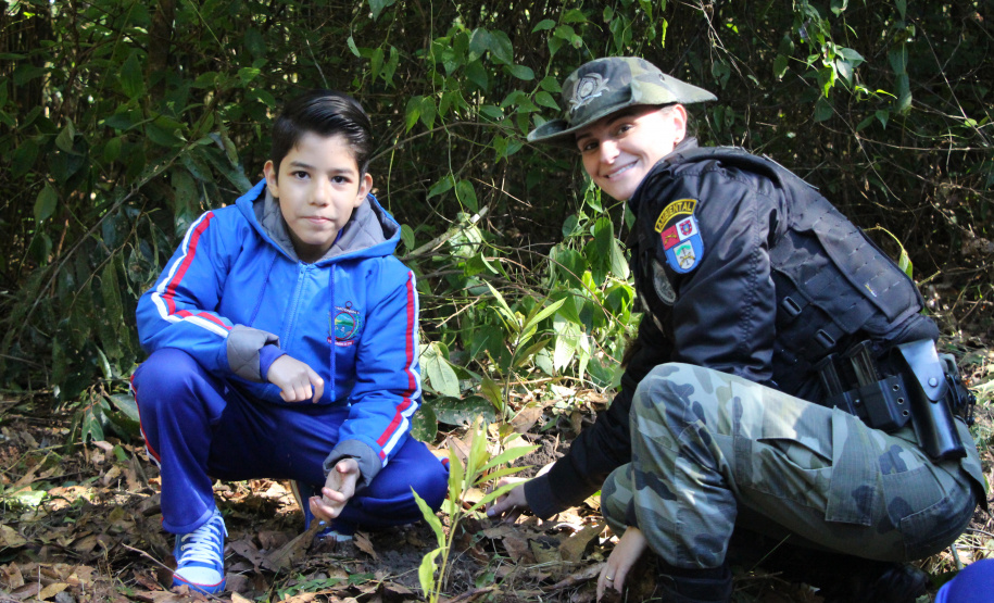 PMPR e SPVS plantam 170 mudas de árvores nativas em celebração ao aniversário da corporação