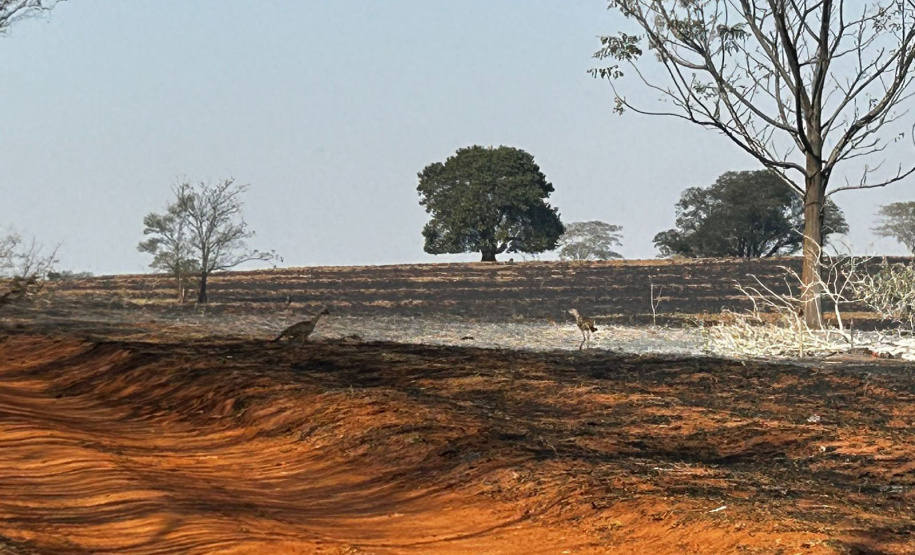 Com bombeiros mobilizados, helicóptero reforça combate a incêndio em Maria Helena