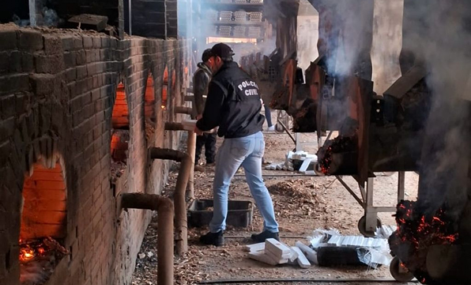 PCPR incinera 350 quilos de drogas em Araucária