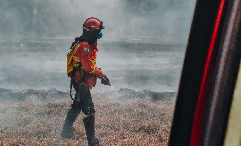Corpo de Bombeiros do Paraná já atendeu mais de 9,3 mil incêndios florestais em 2024