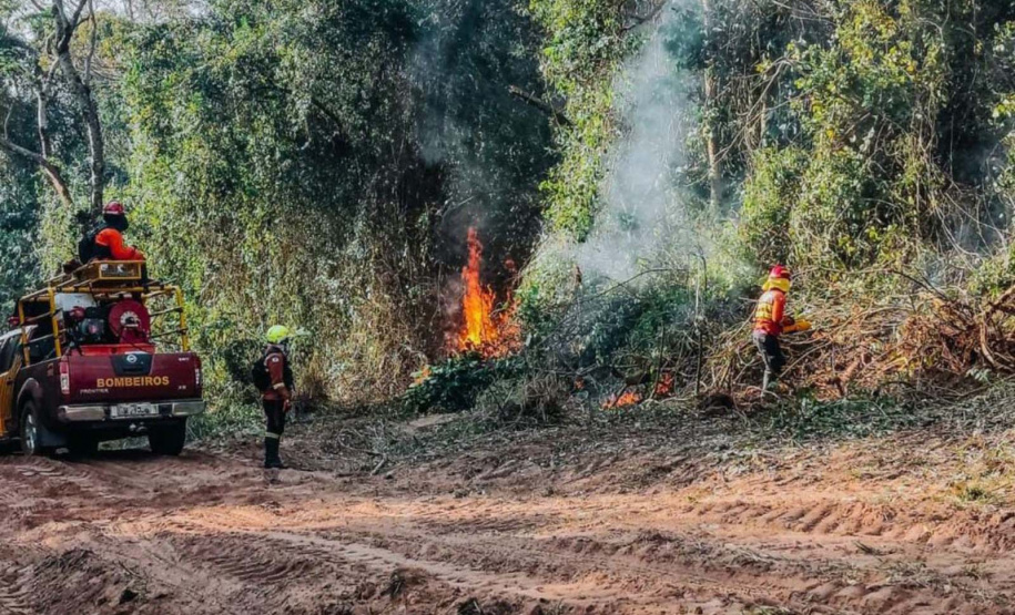 Corpo de Bombeiros do Paraná já atendeu mais de 9,3 mil incêndios florestais em 2024