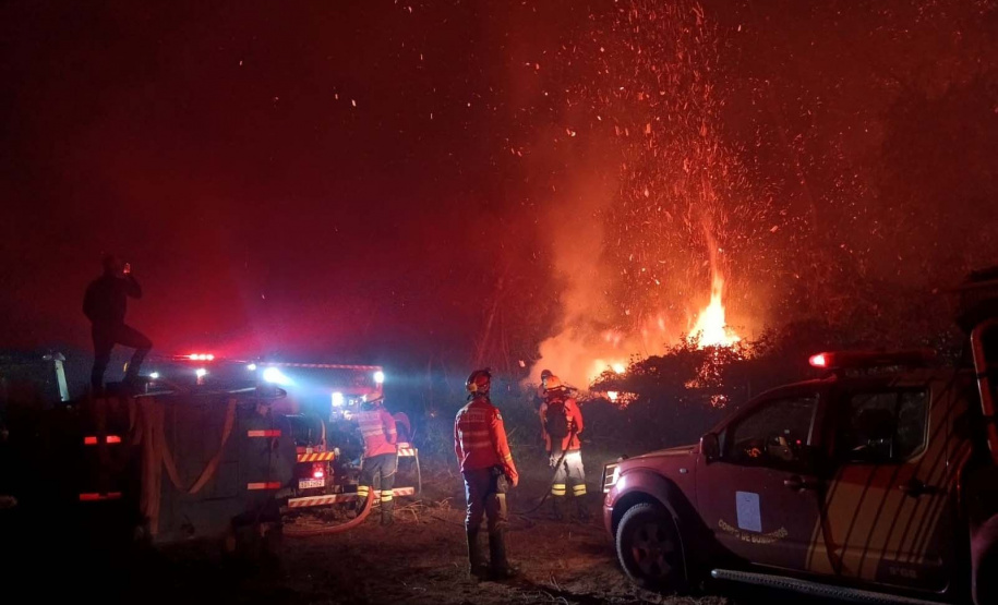 Corpo de Bombeiros do Paraná já atendeu mais de 9,3 mil incêndios florestais em 2024