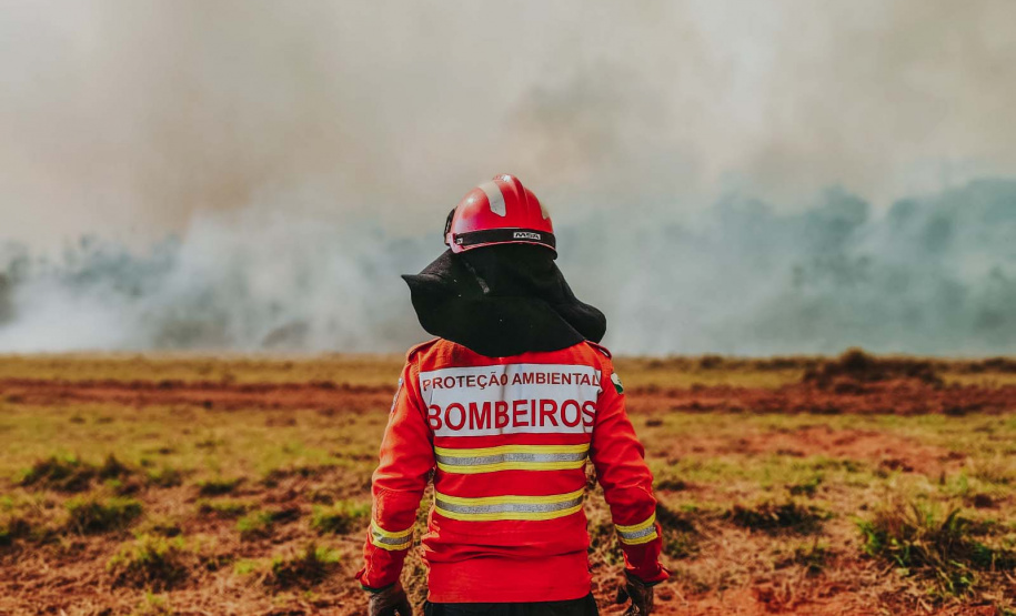Corpo de Bombeiros do Paraná já atendeu mais de 9,3 mil incêndios florestais em 2024