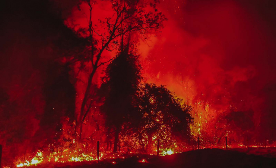 Corpo de Bombeiros do Paraná já atendeu mais de 9,3 mil incêndios florestais em 2024