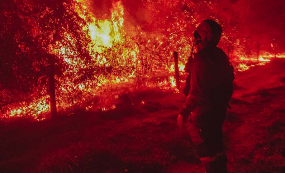 Corpo de Bombeiros do Paraná já atendeu mais de 9,3 mil incêndios florestais em 2024