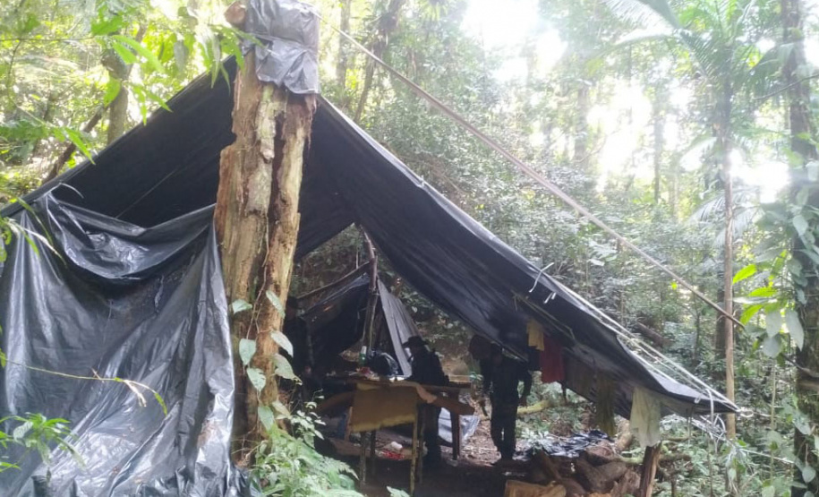 IAT e Força Verde desmobilizam acampamento de caçadores dentro do Pico do Marumbi