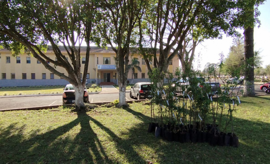 150 árvores frutíferas são plantadas em Unidade de Progressão de Ponta Grossa