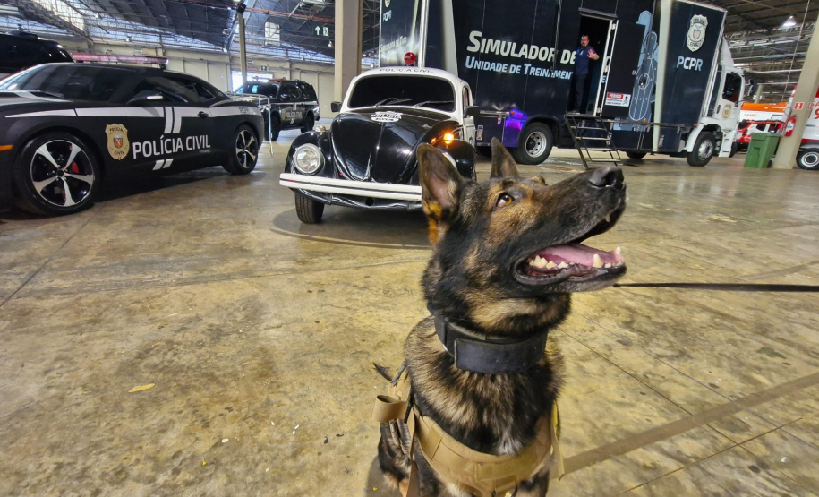 PCPR na Comunidade leva atendimento a moradores de Toledo, Cascavel e Carlópolis