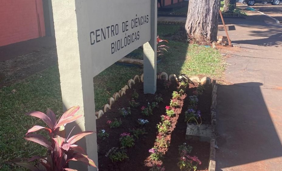 Canteiro de obras com monitorados promove reinserção social em Londrina