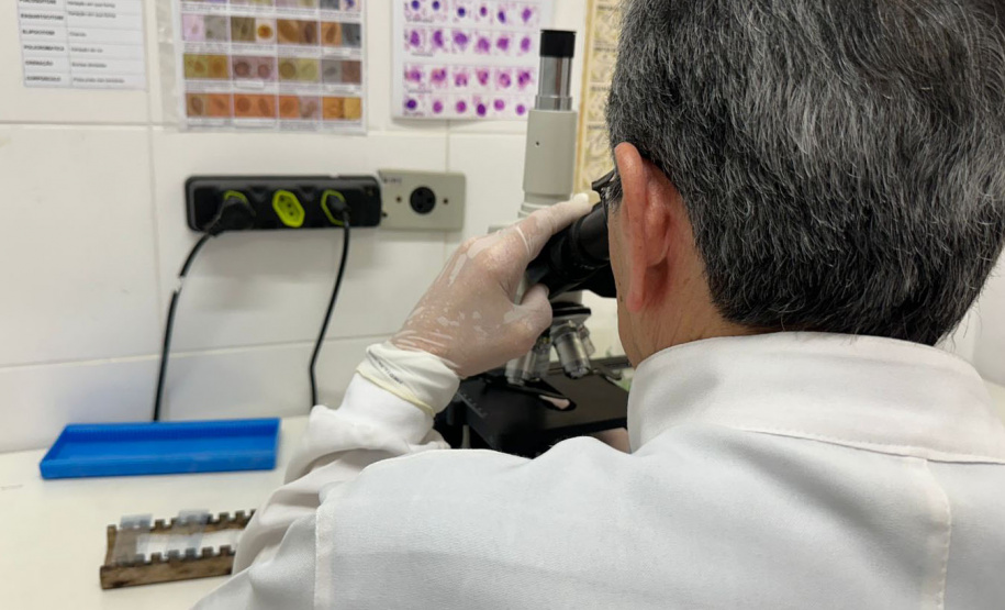 Com 145 vagas, Polícia Penal do Paraná abre inscrições para PSS na área de saúde