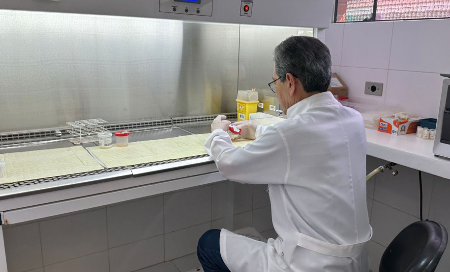 Com 145 vagas, Polícia Penal do Paraná abre inscrições para PSS na área de saúde