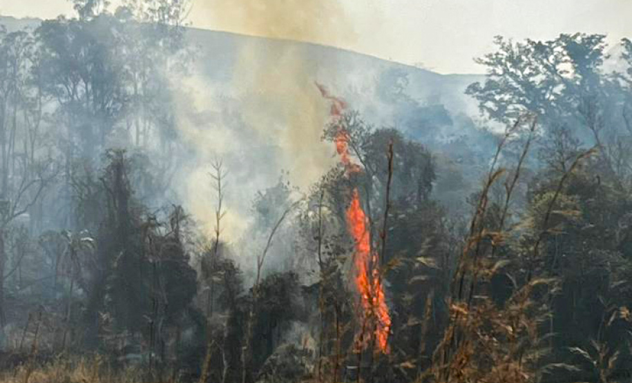 Com volta do calor, Bombeiros reforçam combate a incêndios florestais