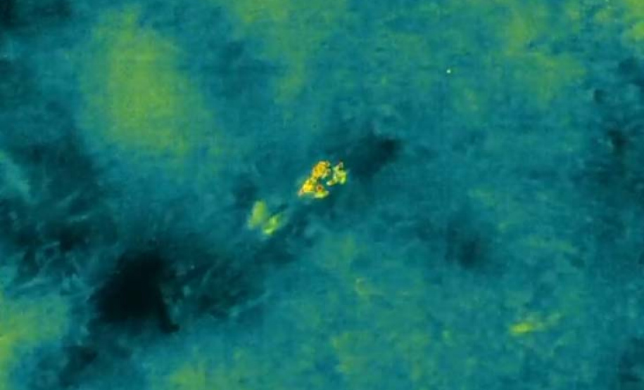 Tecnologia contra o crime: drone térmico da PMPR encontra fugitivos no meio da mata