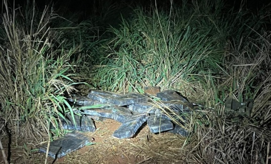 Polícia Militar do Paraná apreende quase três toneladas de maconha em Terra Roxa