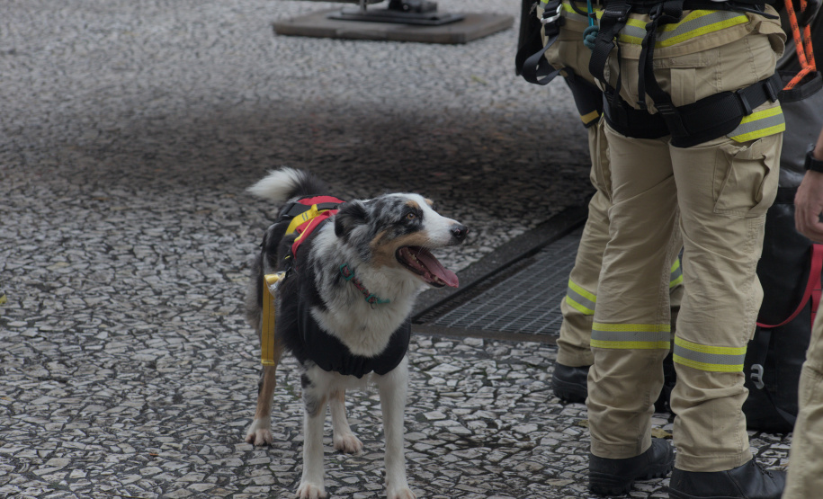 Corpo de Bombeiros simula resgate em altura e chama a atenção no centro de Curitiba