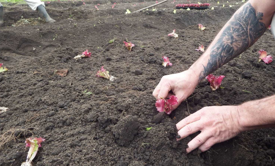 Cuidado humanizado: iniciativas da PPPR para um tratamento penal eficaz no Complexo Médico Penal