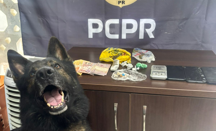 PCPR prende sete pessoas por crimes distintos em Rio Negro