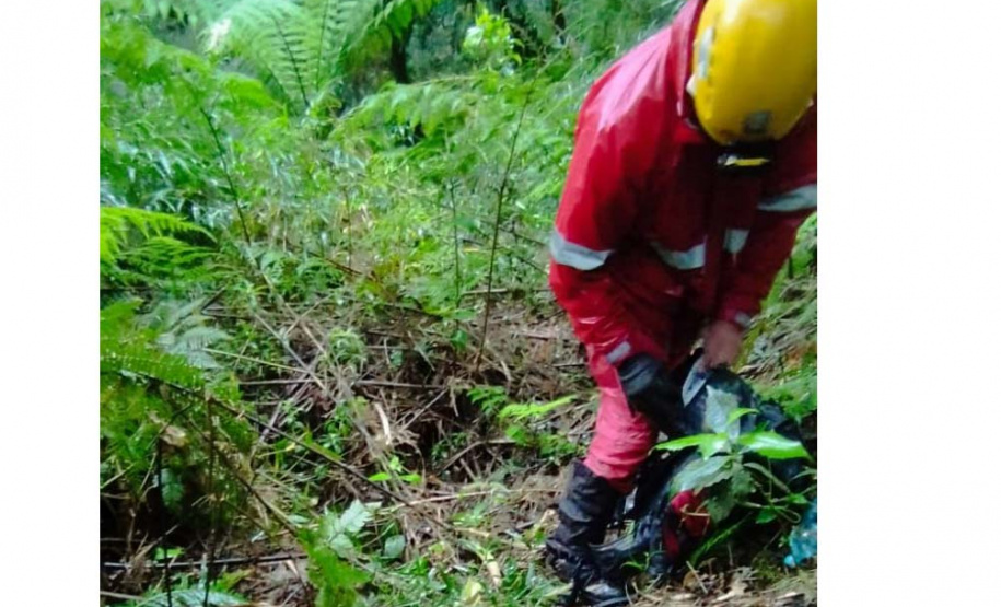 CBMPR encontra jovens que estavam perdidos em trilha de Campina Grande do Sul