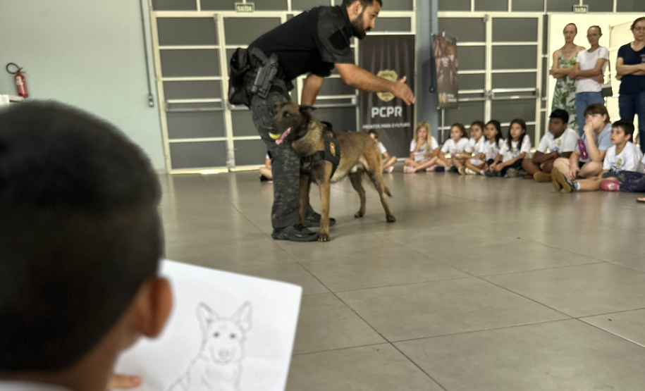 Londrina, Mandaguari e Rolândia recebem o programa PCPR na Comunidade nesta semana