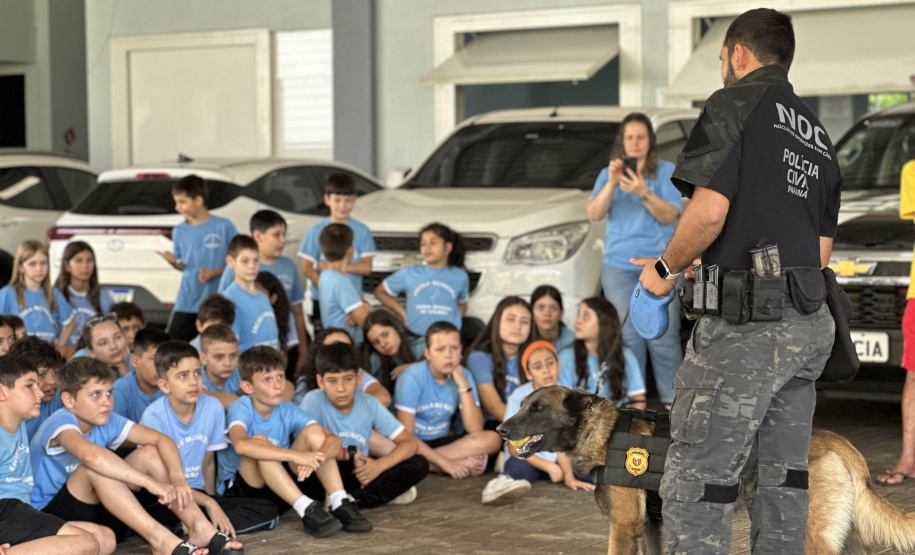 Londrina, Mandaguari e Rolândia recebem o programa PCPR na Comunidade nesta semana