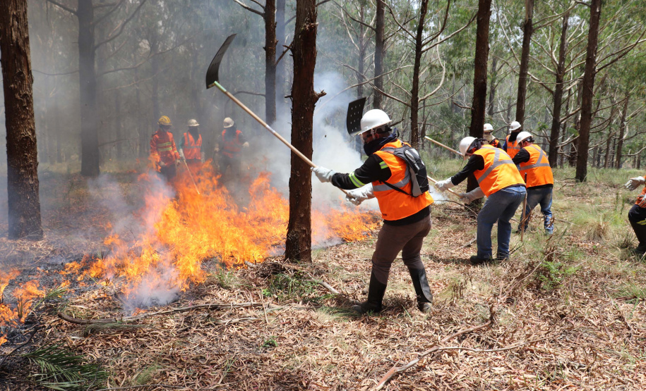Governo do Paraná conclui capacitação de 540 brigadistas florestais em 100 municípios