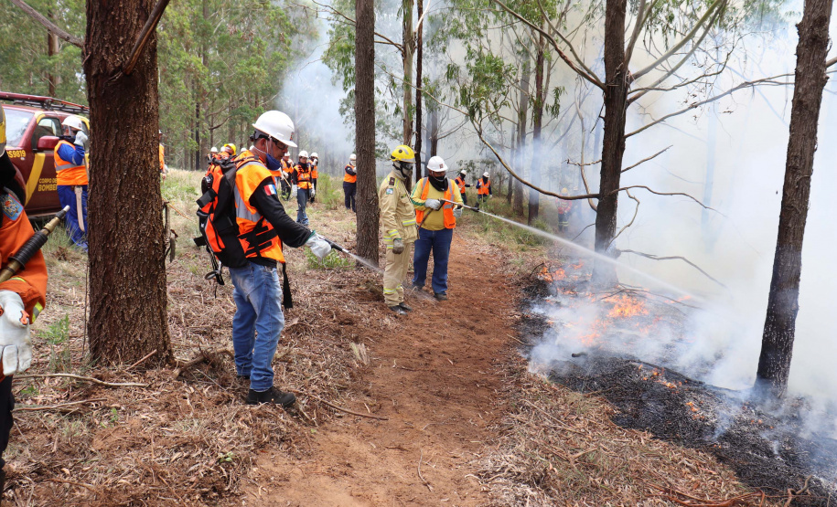 Governo do Paraná conclui capacitação de 540 brigadistas florestais em 100 municípios