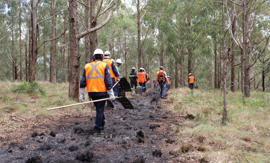 Governo do Paraná conclui capacitação de 540 brigadistas florestais em 100 municípios