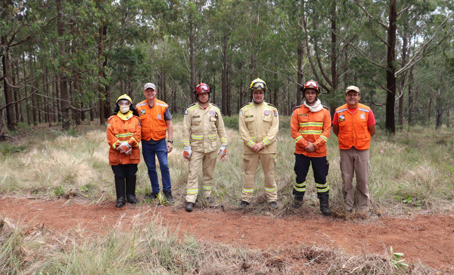 Governo do Paraná conclui capacitação de 540 brigadistas florestais em 100 municípios